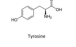 Kandungan tirosin dalam makanan: meja