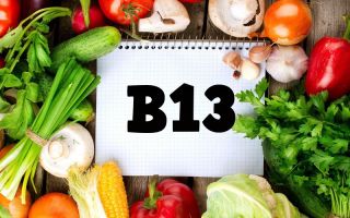 Vitamin B13: Was braucht der Körper, welche Lebensmittel enthalten