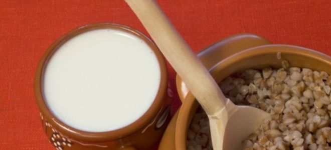 Por qué es útil el trigo sarraceno con kéfir