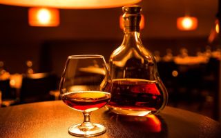 Tại sao cognac hữu ích và có hại?