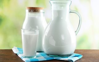Süt: kullanışlı özellikler ve kontrendikasyonlar