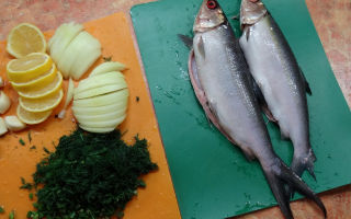 Mælkfisk (hanos): fordele, hvordan man laver mad, hvor de findes