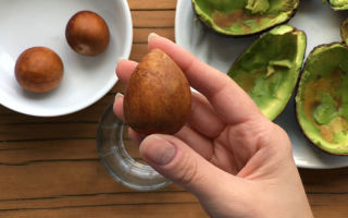 Ist es möglich, einen Avocadosamen zu essen: Nutzen und Schaden für den menschlichen Körper