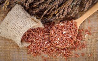 Hvorfor brun (brun) ris er nyttig, og hvordan man tilbereder den korrekt