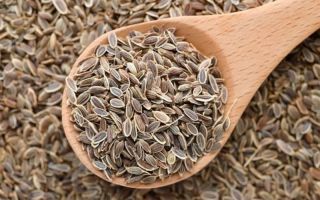 Sjemenke kopra: korisna svojstva, kako kuhati i uzimati