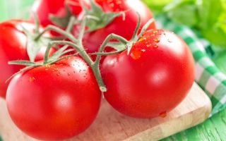 Dlaczego pomidory są przydatne dla organizmu