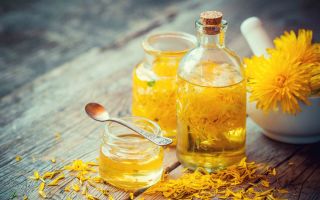 Vino maslačka: kemijski sastav, recepti za pripremu napitka