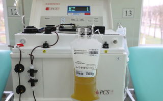 Donner du plasma sanguin: contre-indications, ce qui est dangereux, les avantages du don