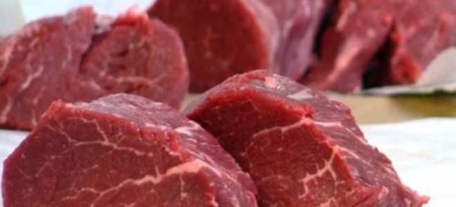 Ayı eti insan sağlığı için neden yararlı ve tehlikelidir?