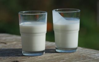 Kærnemælk: hvad er det, og hvordan er det nyttigt