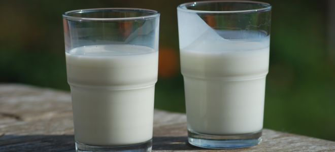 Kærnemælk: hvad er det, og hvordan er det nyttigt
