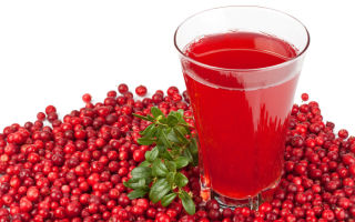 Cranberry-Saft: Nutzen und Schaden, Eigenschaften