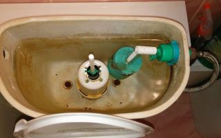 Kaip išvalyti tualeto bakelį nuo rūdžių viduje: liaudiškos ir specializuotos priemonės
