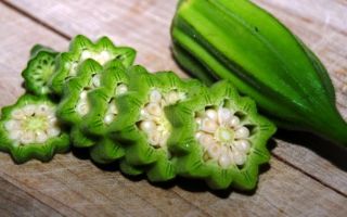 Okra (okra): wat voor soort groente is het, een foto van een plant, de voordelen en nadelen voor de gezondheid