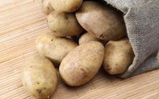 Ziemniaki: użyteczne właściwości i przeciwwskazania