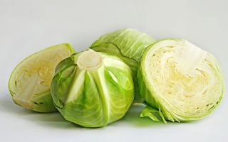 Tại sao bắp cải trắng lại hữu ích, đặc tính và cách chuẩn bị