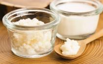 Ciuperca de lapte: proprietăți utile, contraindicații, modul de îngrijire și utilizare