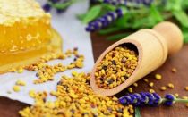 Pollen: användbara egenskaper och kontraindikationer, hur man tar
