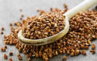 Perché il grano saraceno è utile, proprietà e controindicazioni